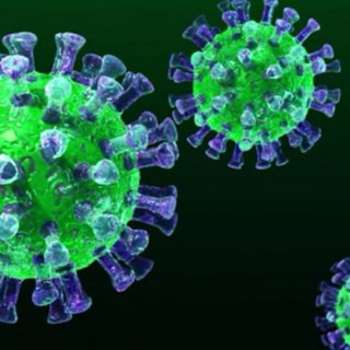 corona virus